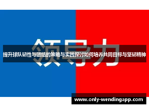 提升球队韧性与团结的策略与实践探讨如何培养共同目标与坚韧精神 提升球队韧性与团结的策略与实践探讨如何培养共同目标与坚韧精神