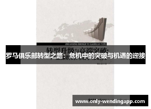 罗马俱乐部转型之路:危机中的突破与机遇的迎接 罗马俱乐部转型之路:危机中的突破与机遇的迎接
