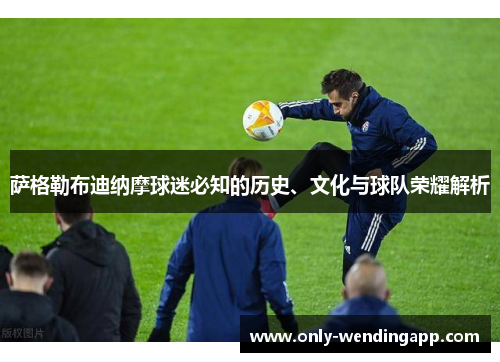 萨格勒布迪纳摩球迷必知的历史、文化与球队荣耀解析