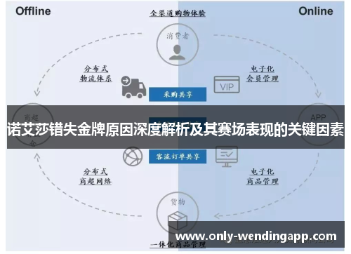诺艾莎错失金牌原因深度解析及其赛场表现的关键因素