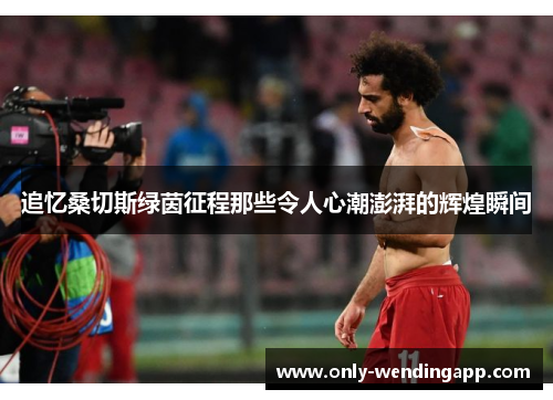 追忆桑切斯绿茵征程那些令人心潮澎湃的辉煌瞬间 追忆桑切斯绿茵征程那些令人心潮澎湃的辉煌瞬间