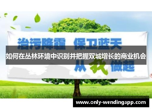 如何在丛林环境中识别并把握双城增长的商业机会